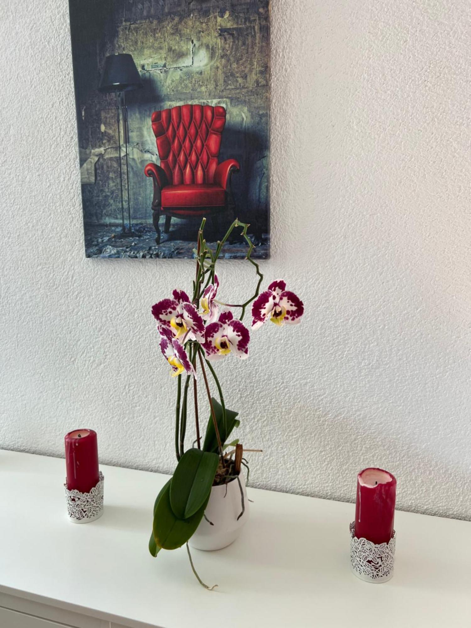 Apartment Peter Interlaken Luaran gambar